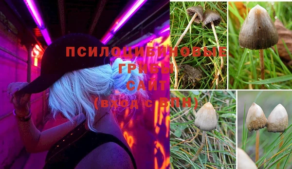 скорость Горняк